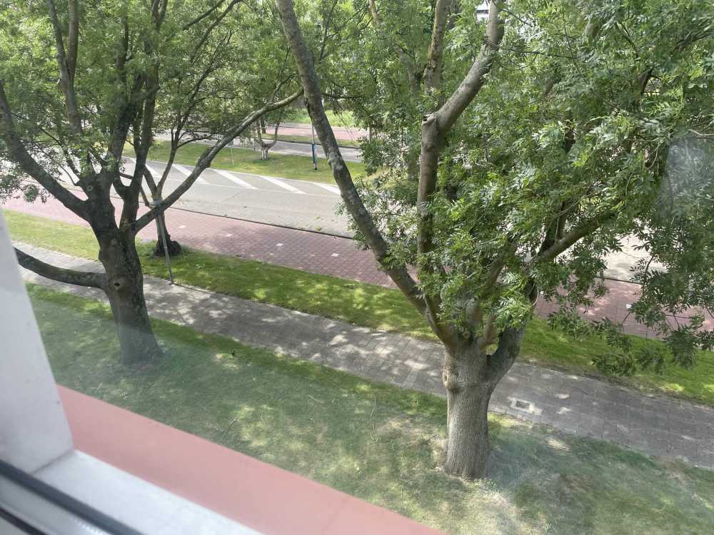 Jan Bonekampstraat 64