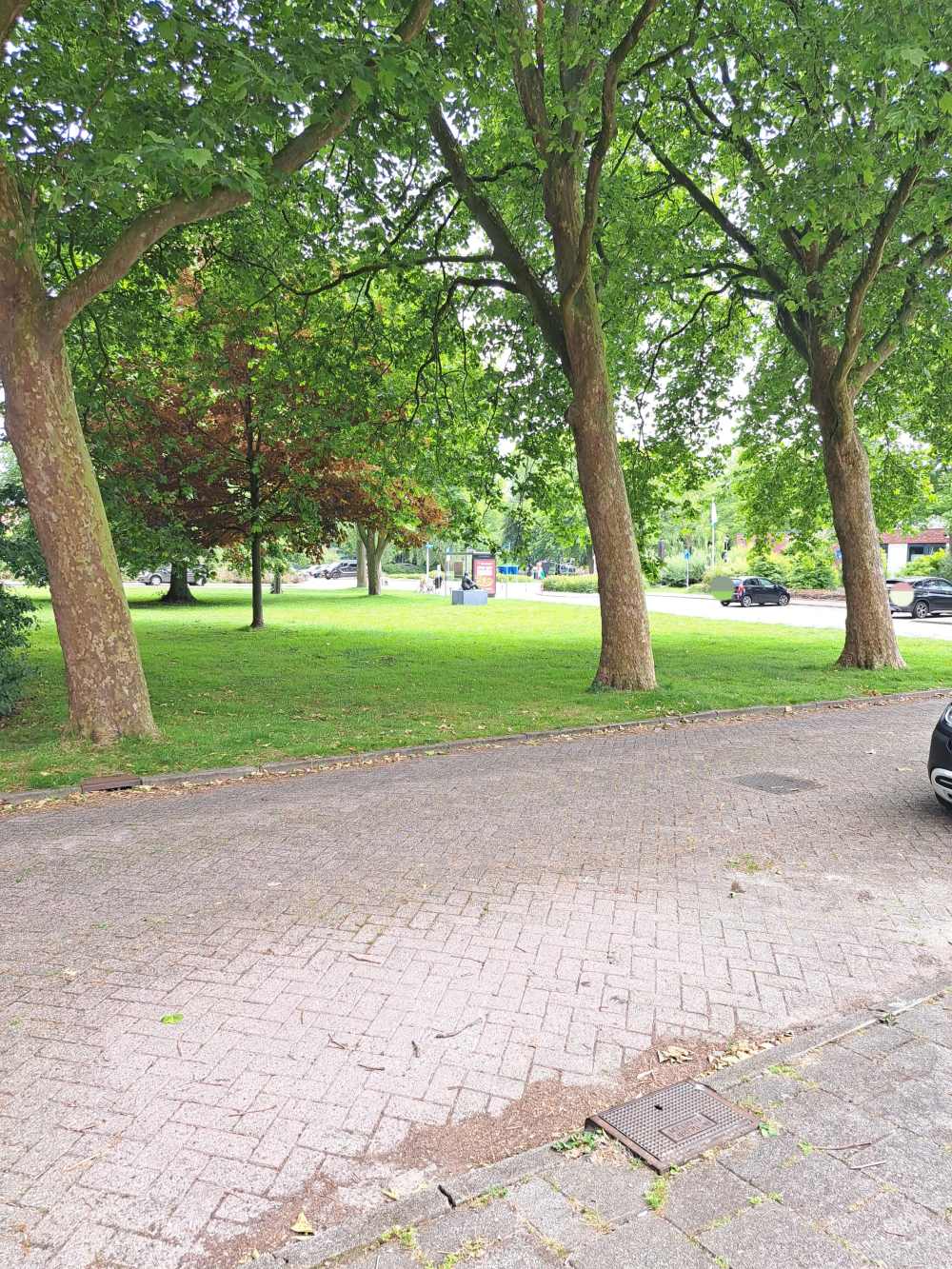 Hoornbladplantsoen 3