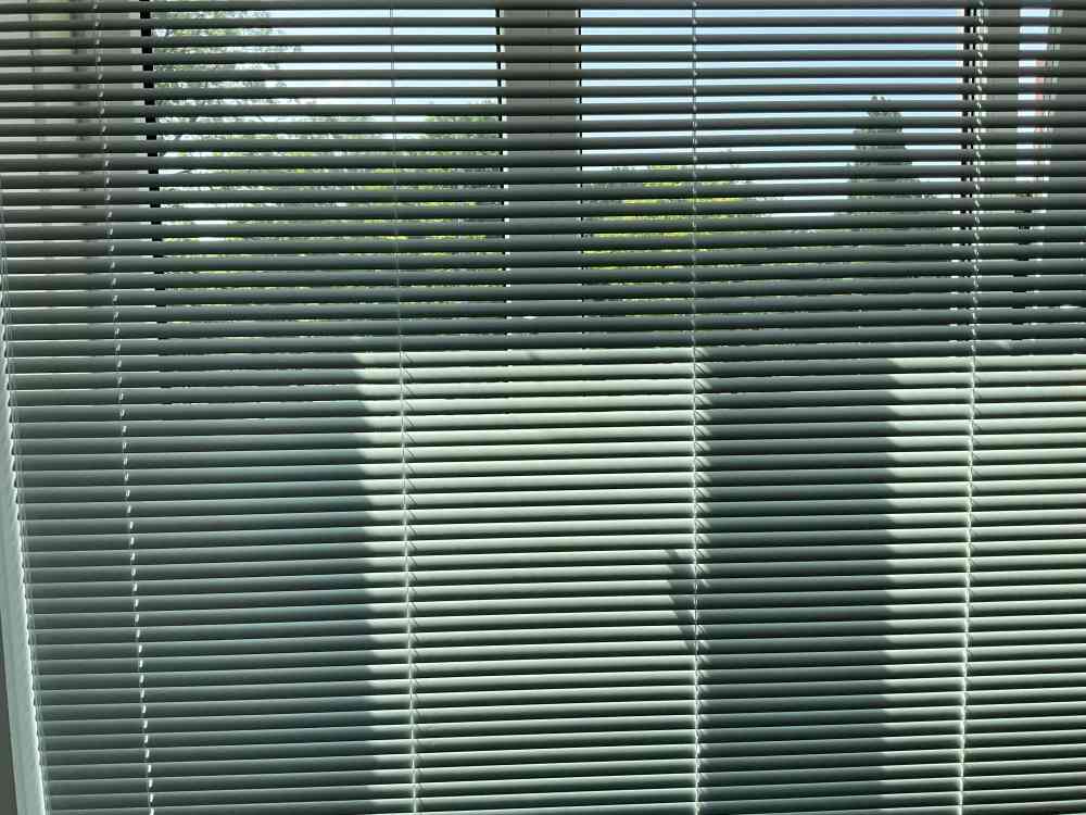 G.J. Scheurleerweg 2