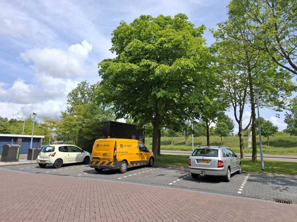 Graan voor Visch 13945