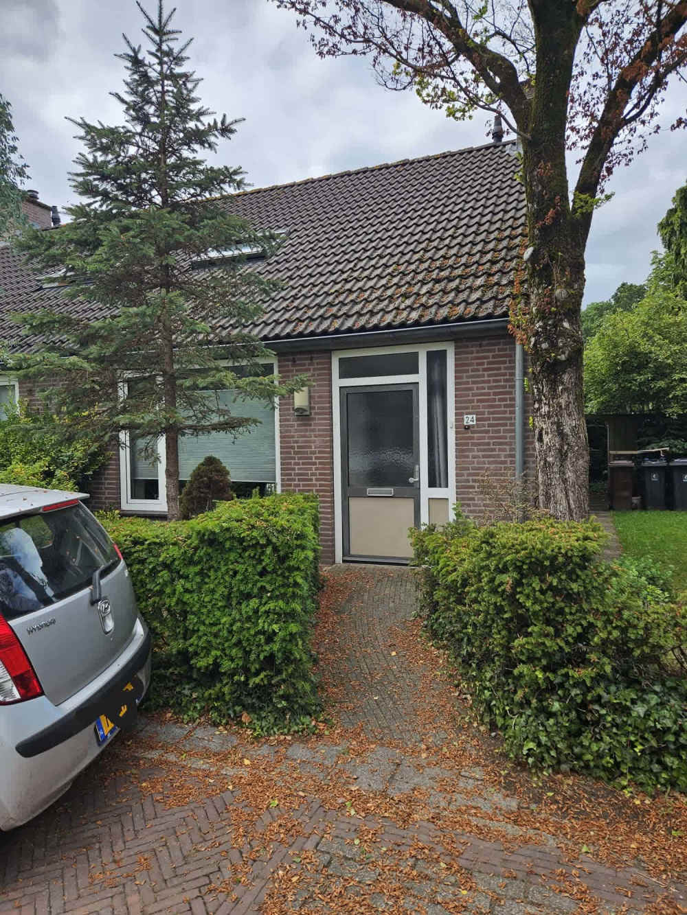 Vogelweide 24