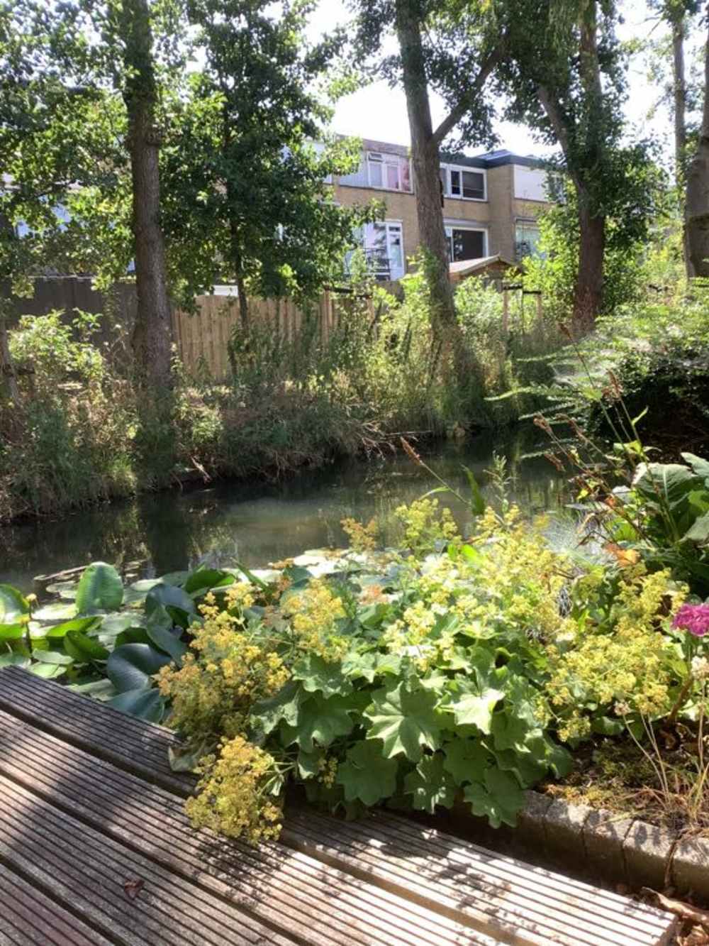 Willem de Zwijgerlaan 11