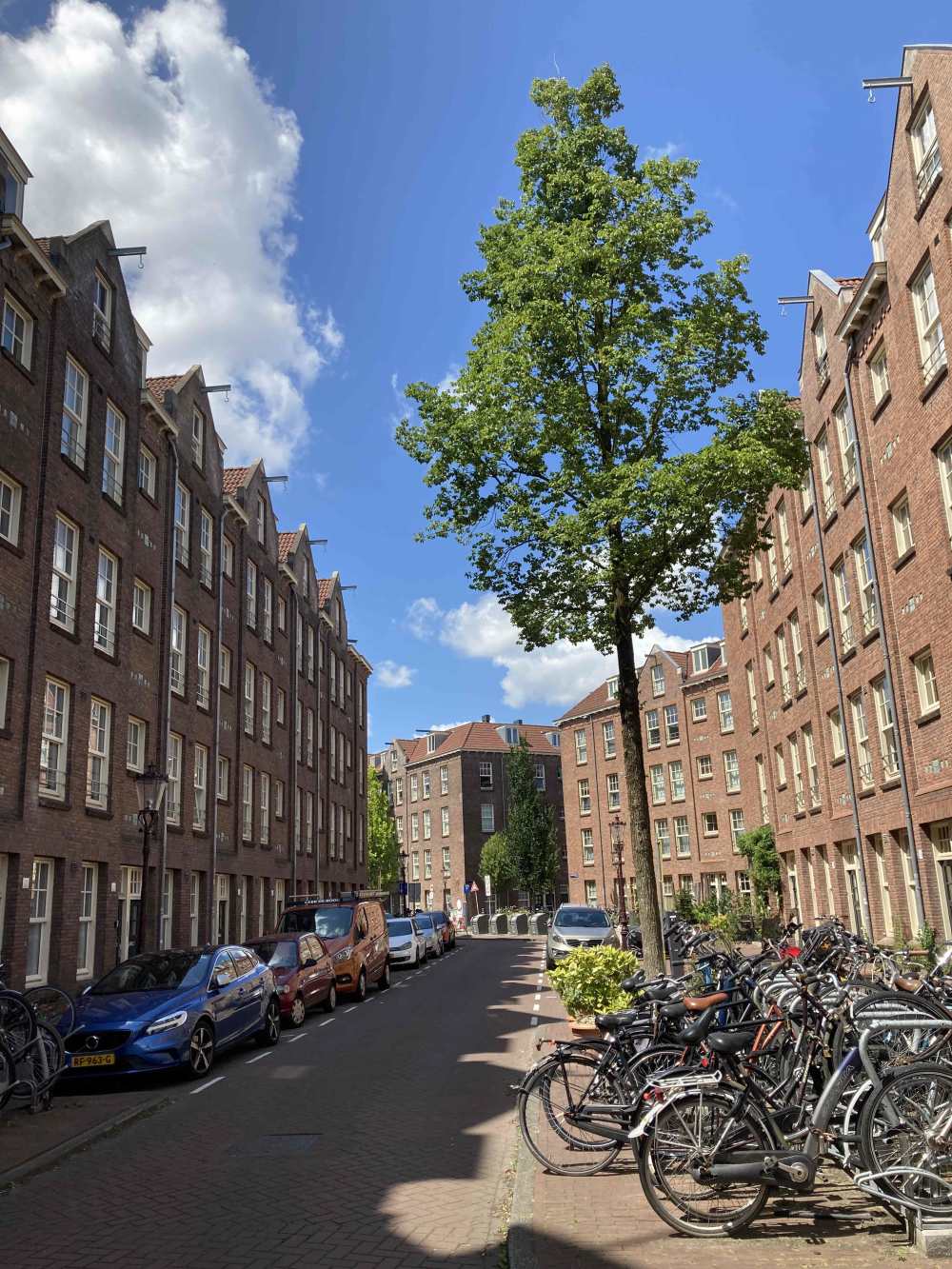 Hasebroekstraat 69III