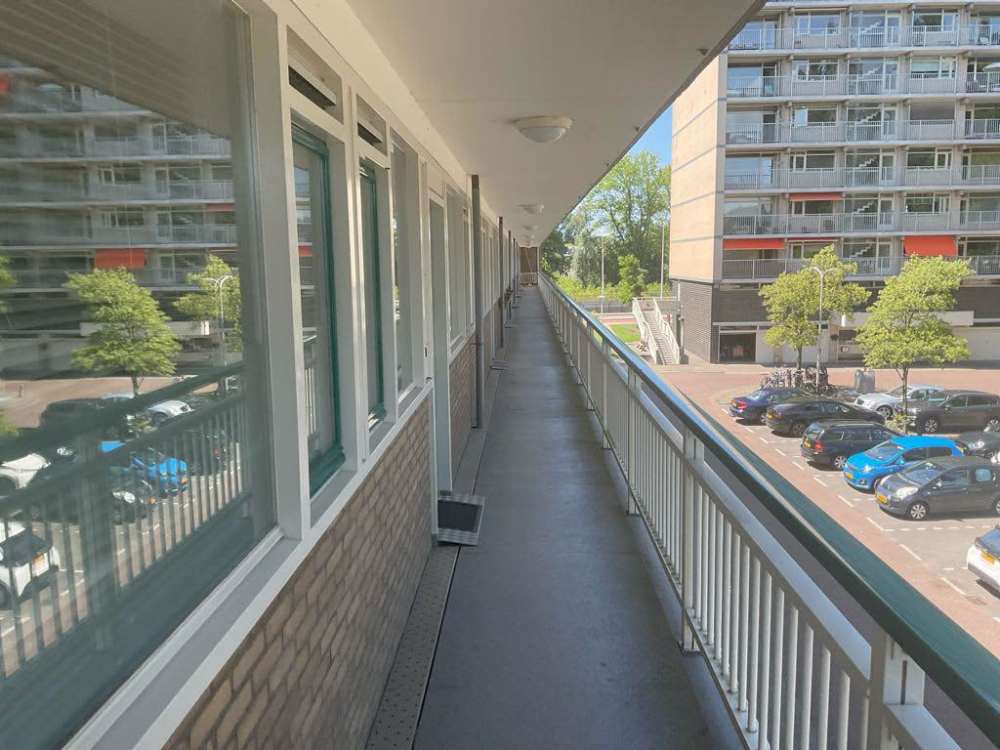 Westelijk Halfrond 351