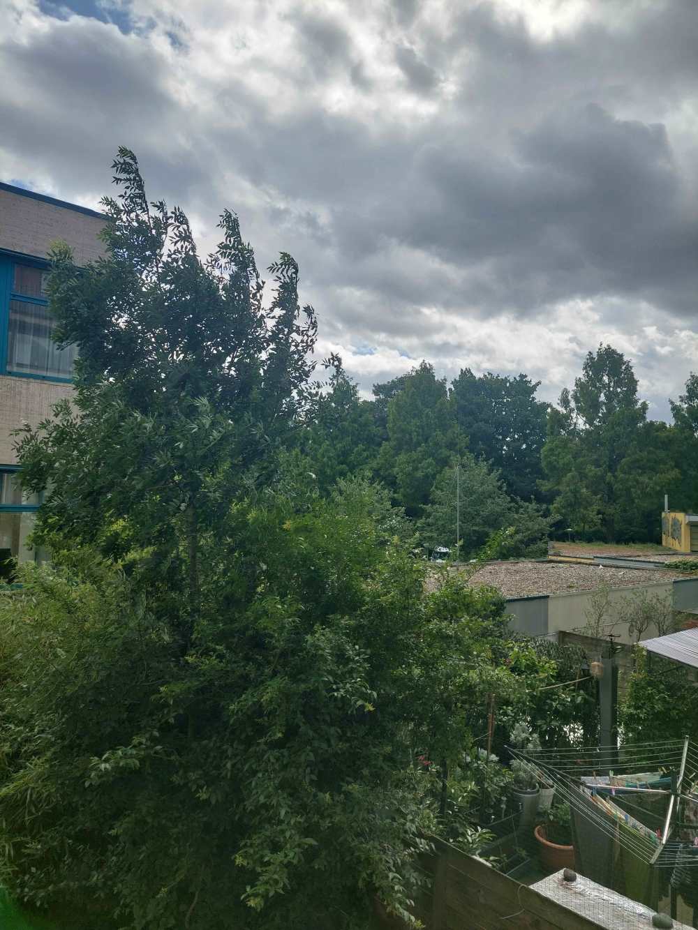 Woltera van Reesstraat 15