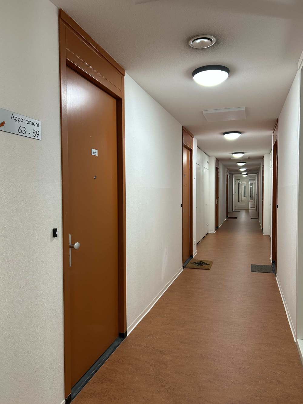 Zilverplevierstraat 65