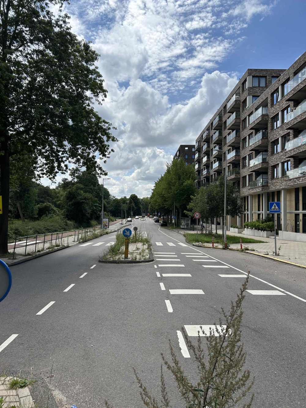 Zilverplevierstraat 65