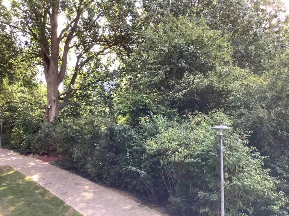 Pieter de Hoochplaats 132