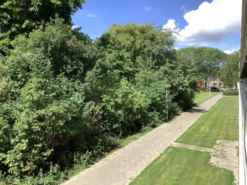 Pieter de Hoochplaats 132