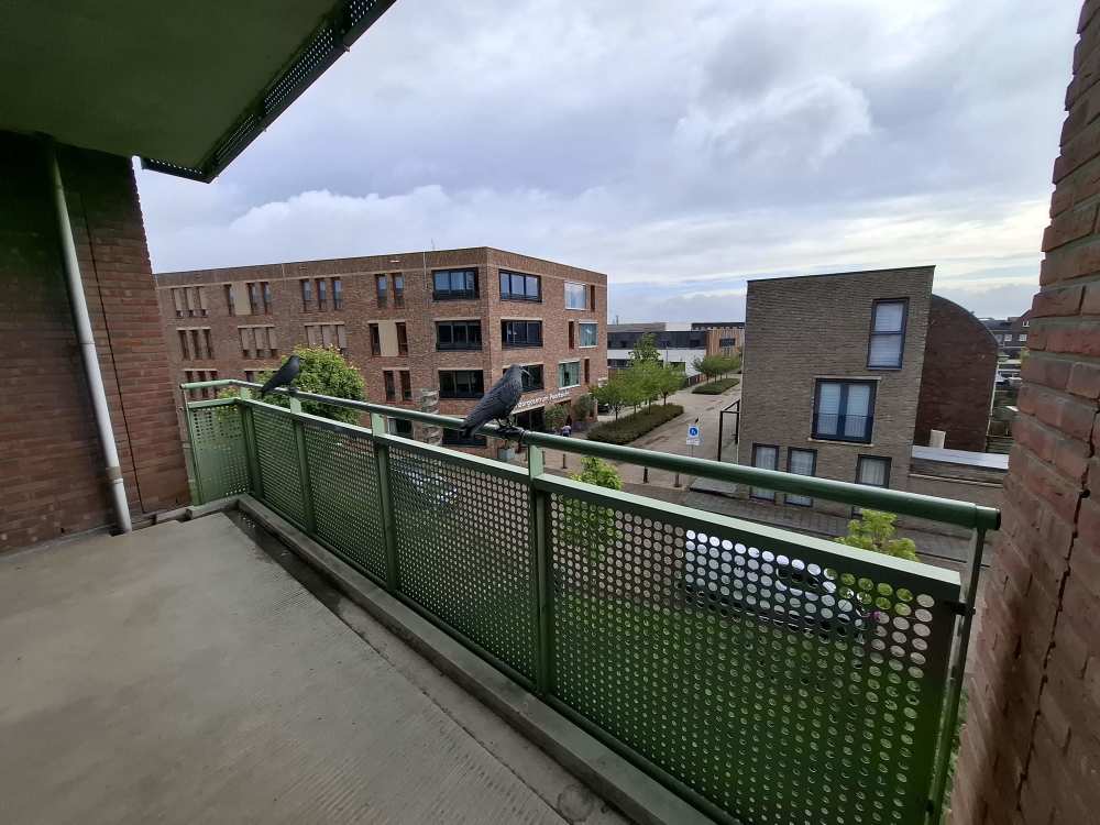 Henry Stanleystraat 81