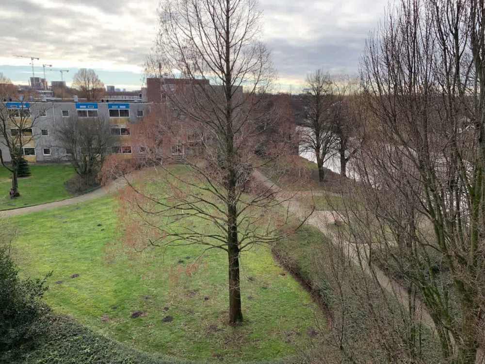 Elsbroekplantsoen 17