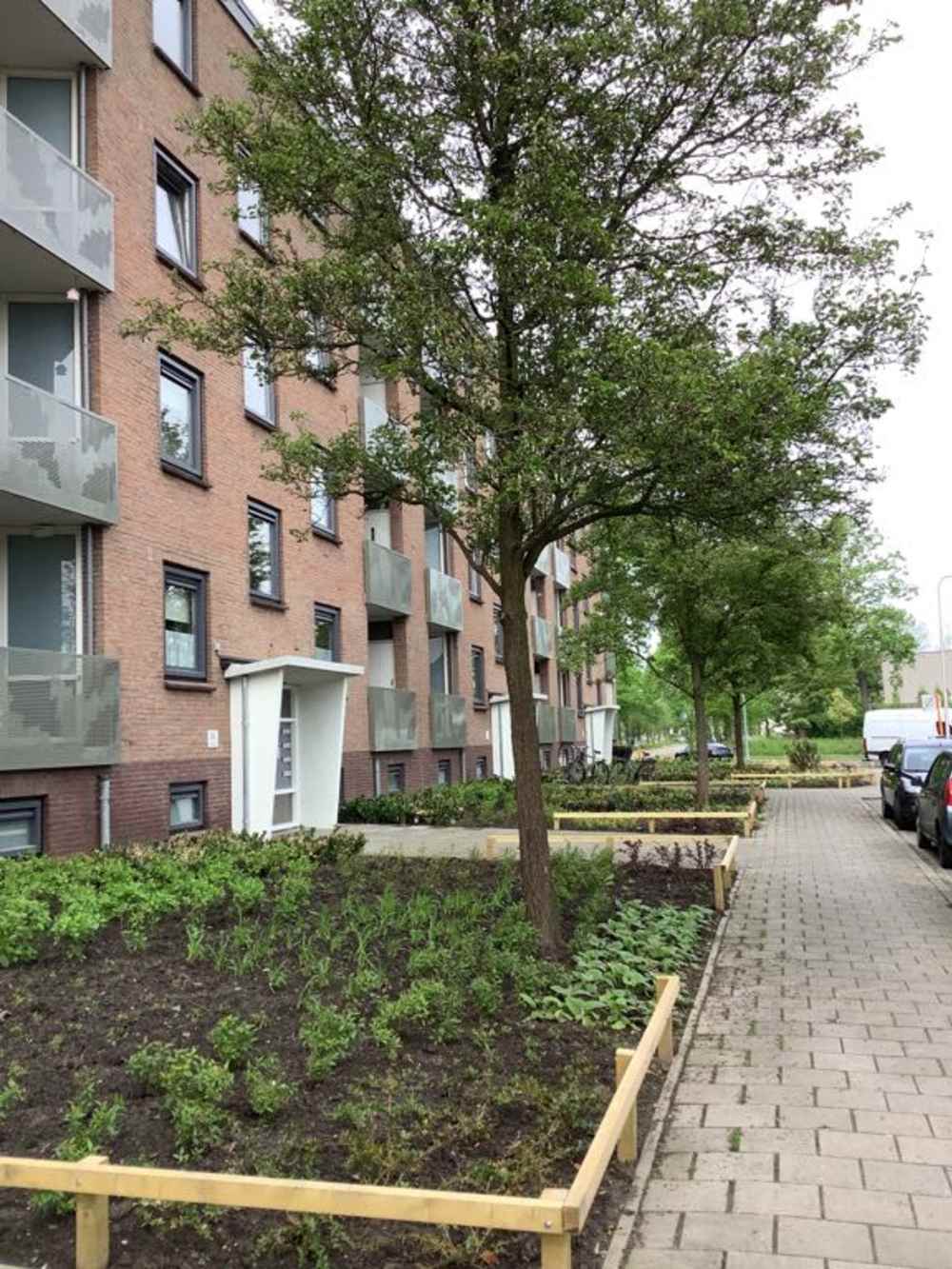 De Savornin Lohmanweg 62B