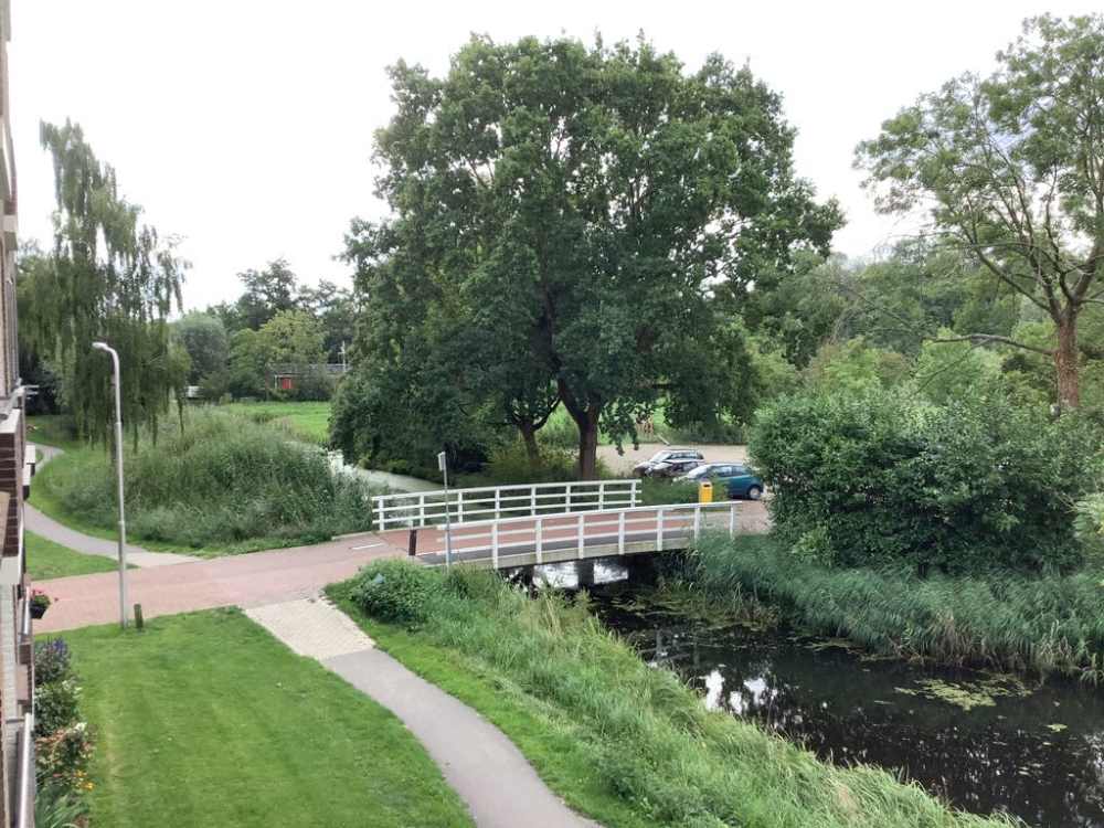 De Savornin Lohmanweg 62B