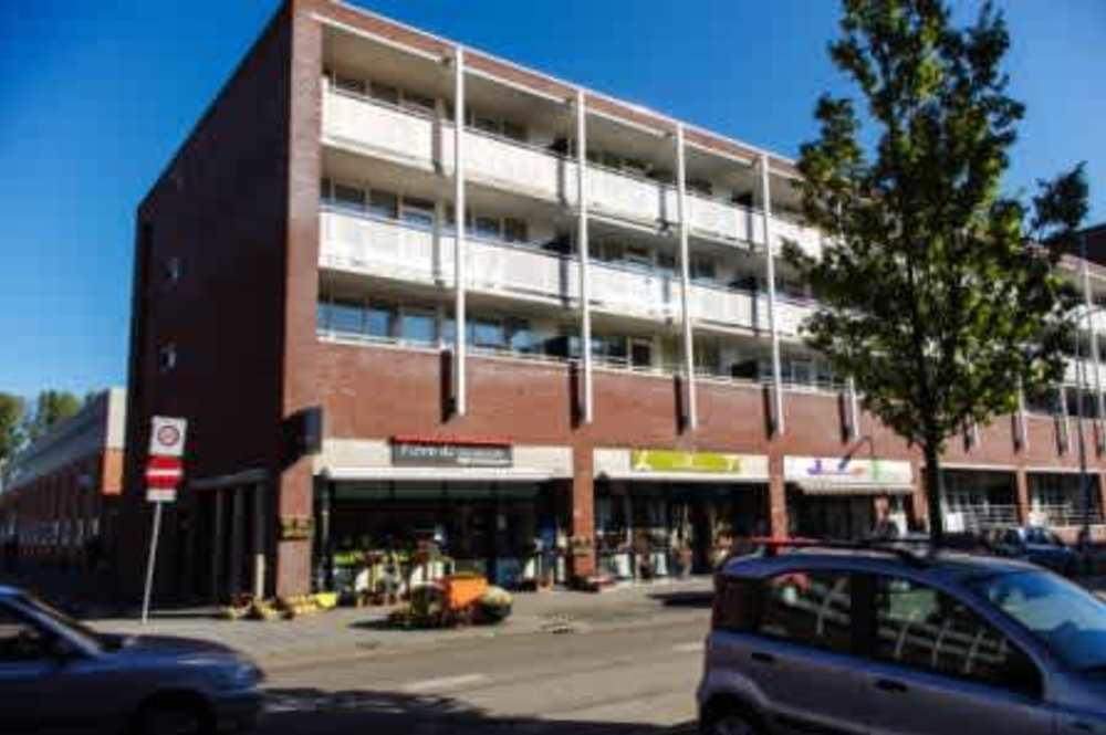 Oosterhamriklaan 249