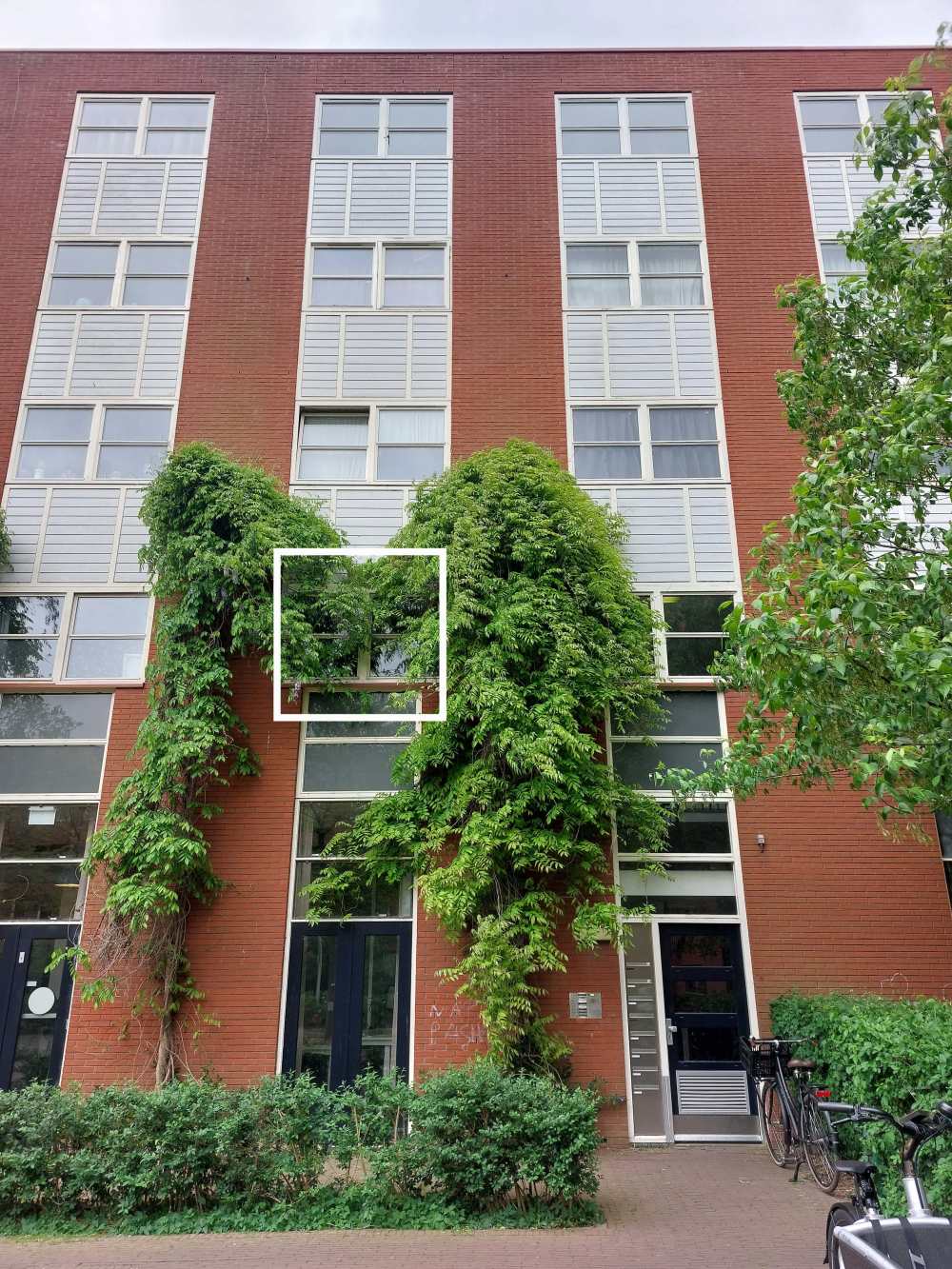 Watervalplein 472, 1051 PP Amsterdam, Nederland