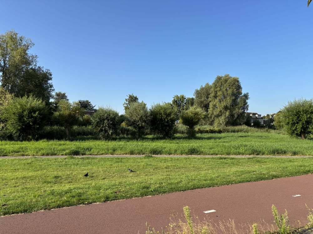 Pieter A. van Heijningestraat 13