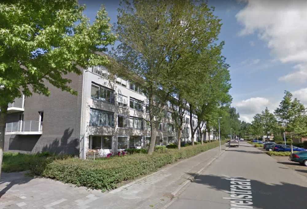 Parelstraat 376, 9743 JZ Groningen, Nederland