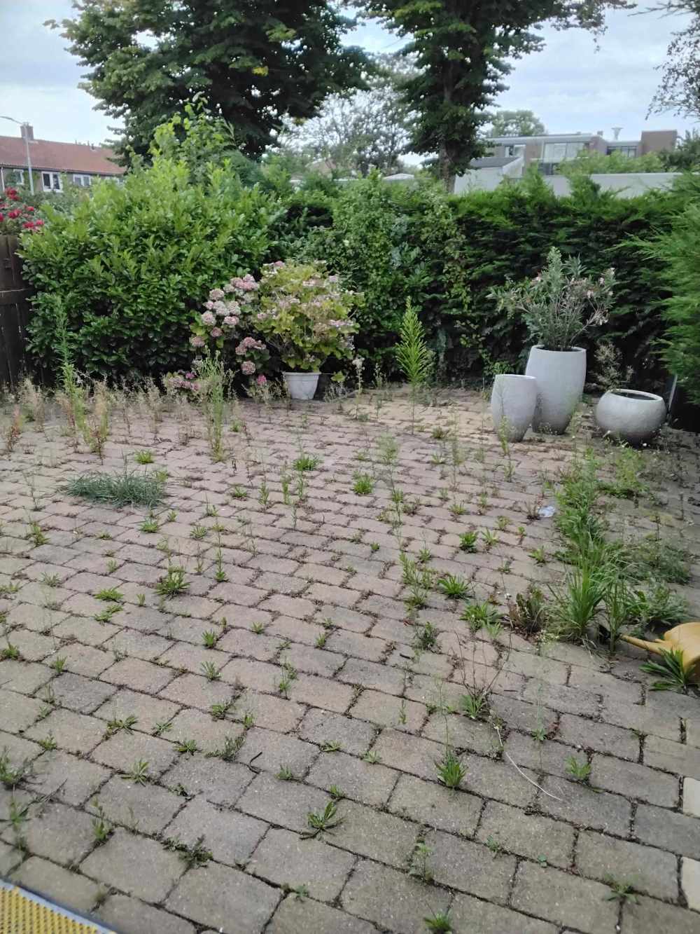 Chr. Huygensstraat 11