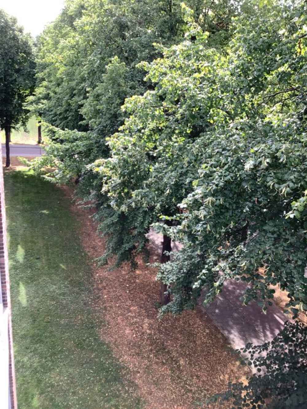 Hendrik Breitnerstraat 82