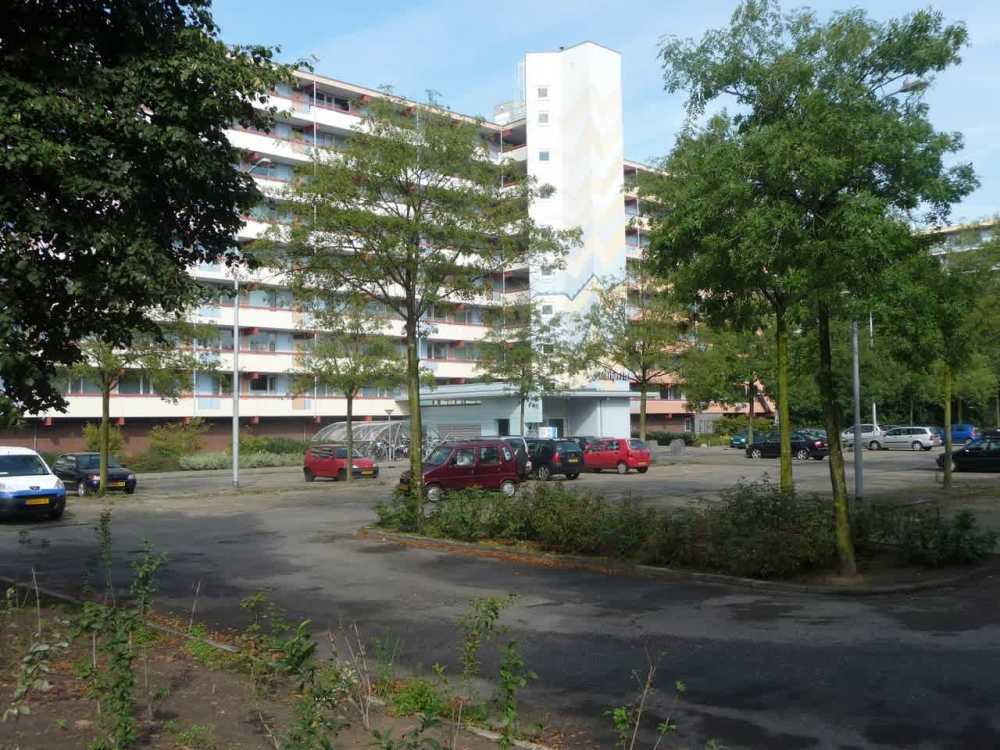 Nieuwe Maanderbuurtweg 528