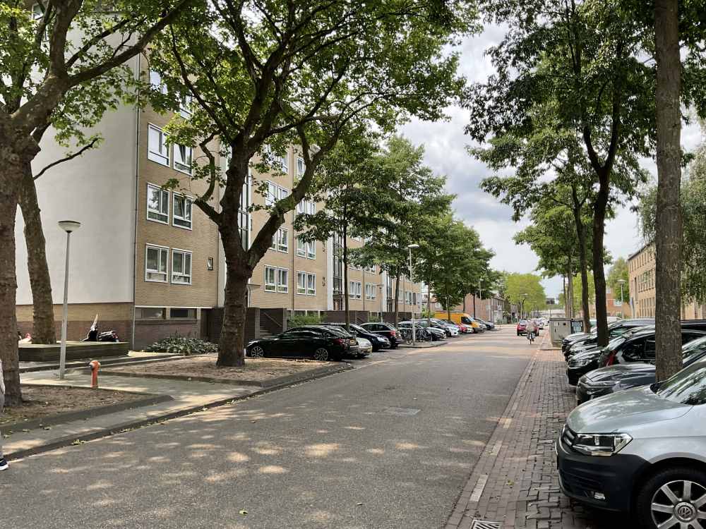 Sam van Houtenstraat 241