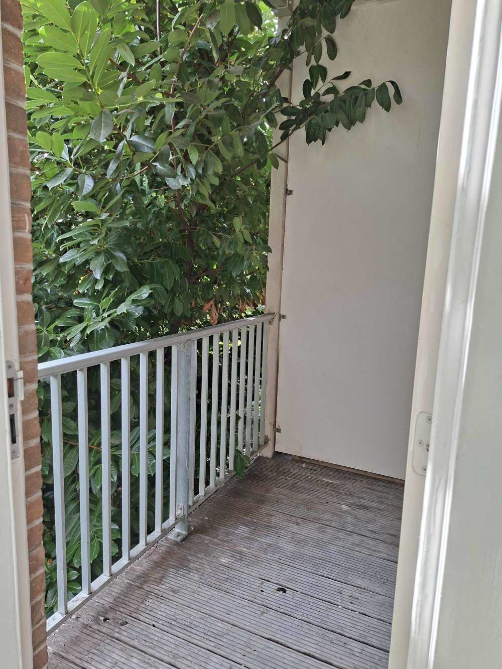 Rombout Hogerbeetsstraat 83