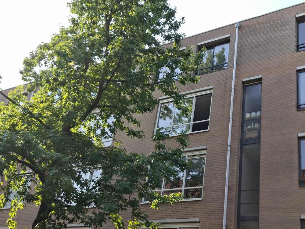 Nova Zemblastraat 489E, 1013 RJ Amsterdam, Nederland