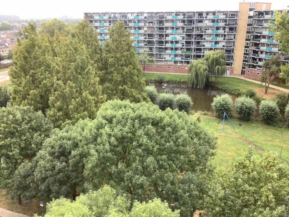 Pieter de Hoochplaats 124