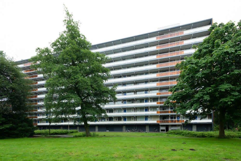 Bovenkruier 19, 1035 AC Amsterdam, Nederland