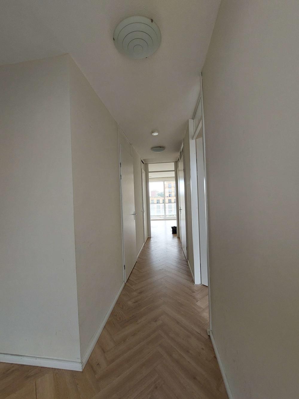 B. Merkelbachsingel 177