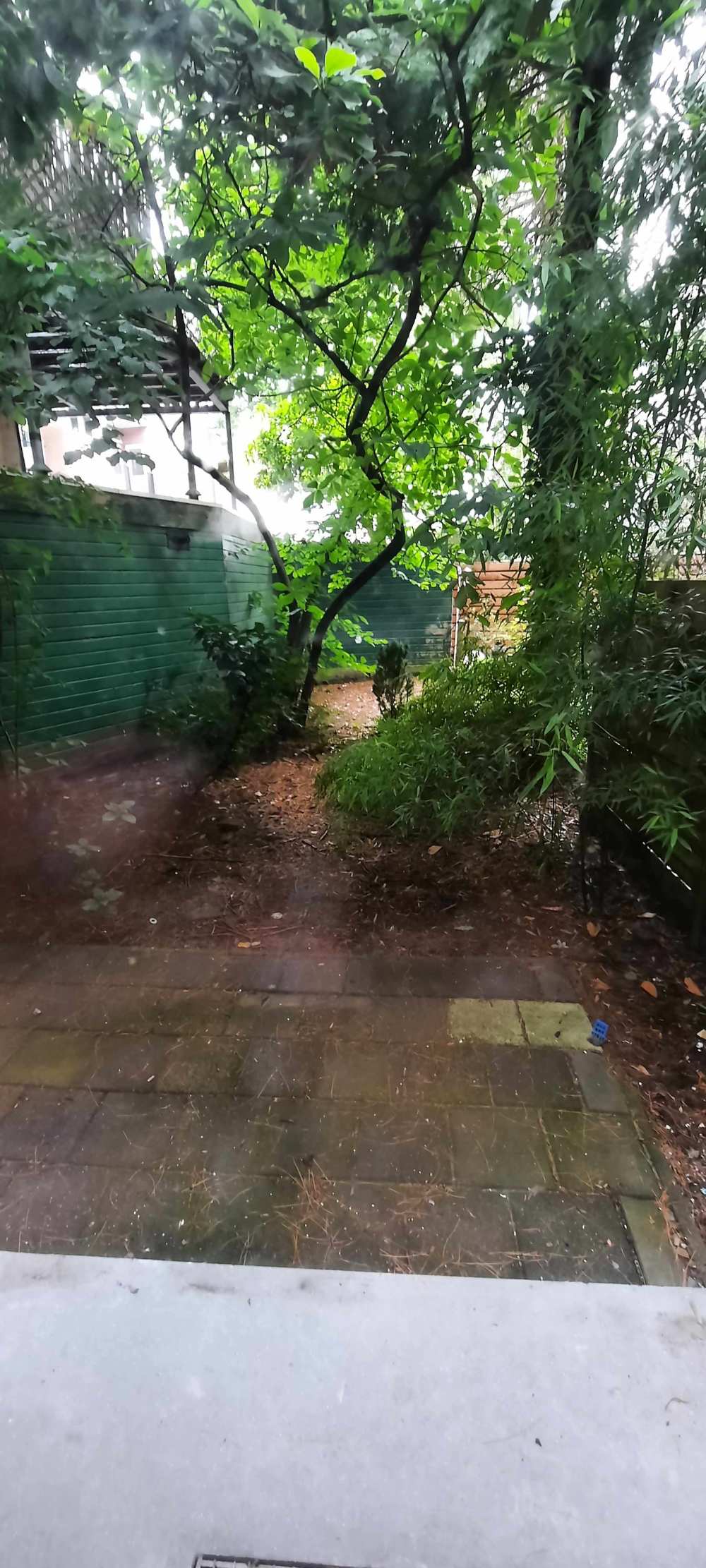 Weissenbruchstraat 11