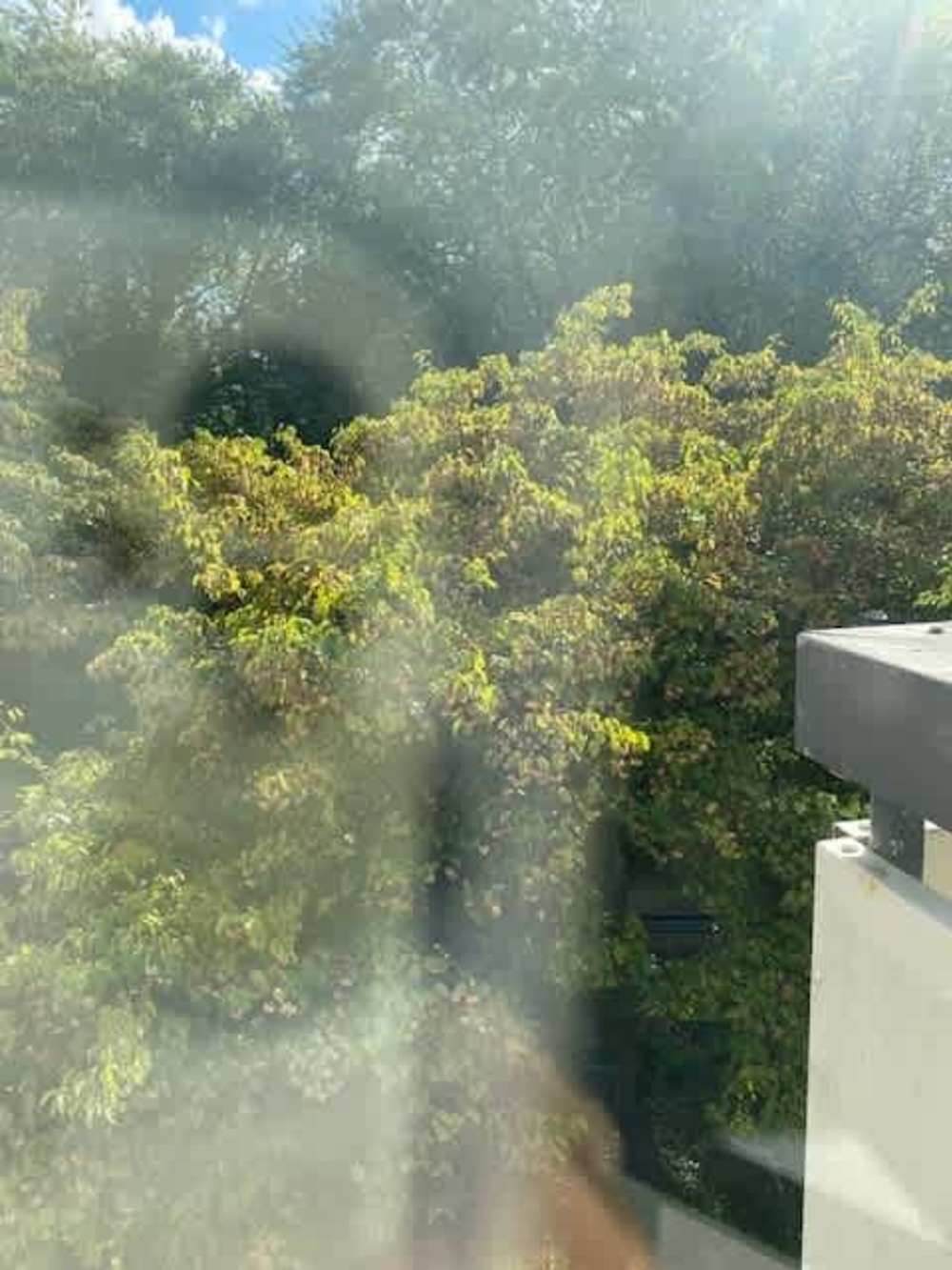 Van Nijenrodeweg 1009