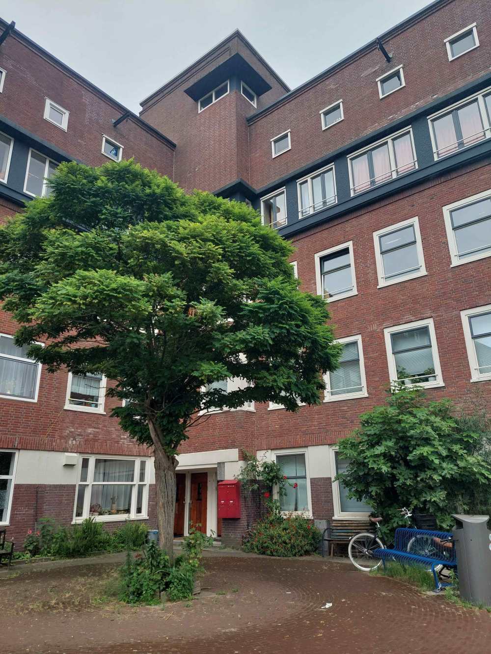 President Steynplantsoen 15