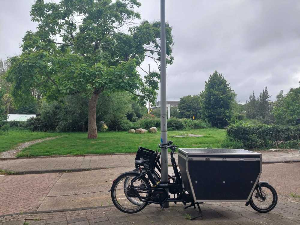 President Steynplantsoen 15