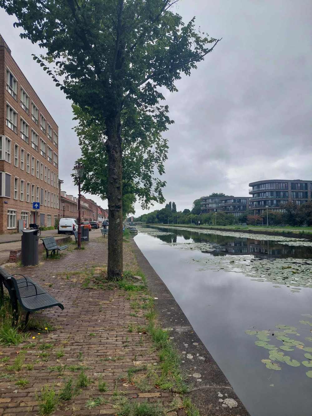 President Steynplantsoen 15