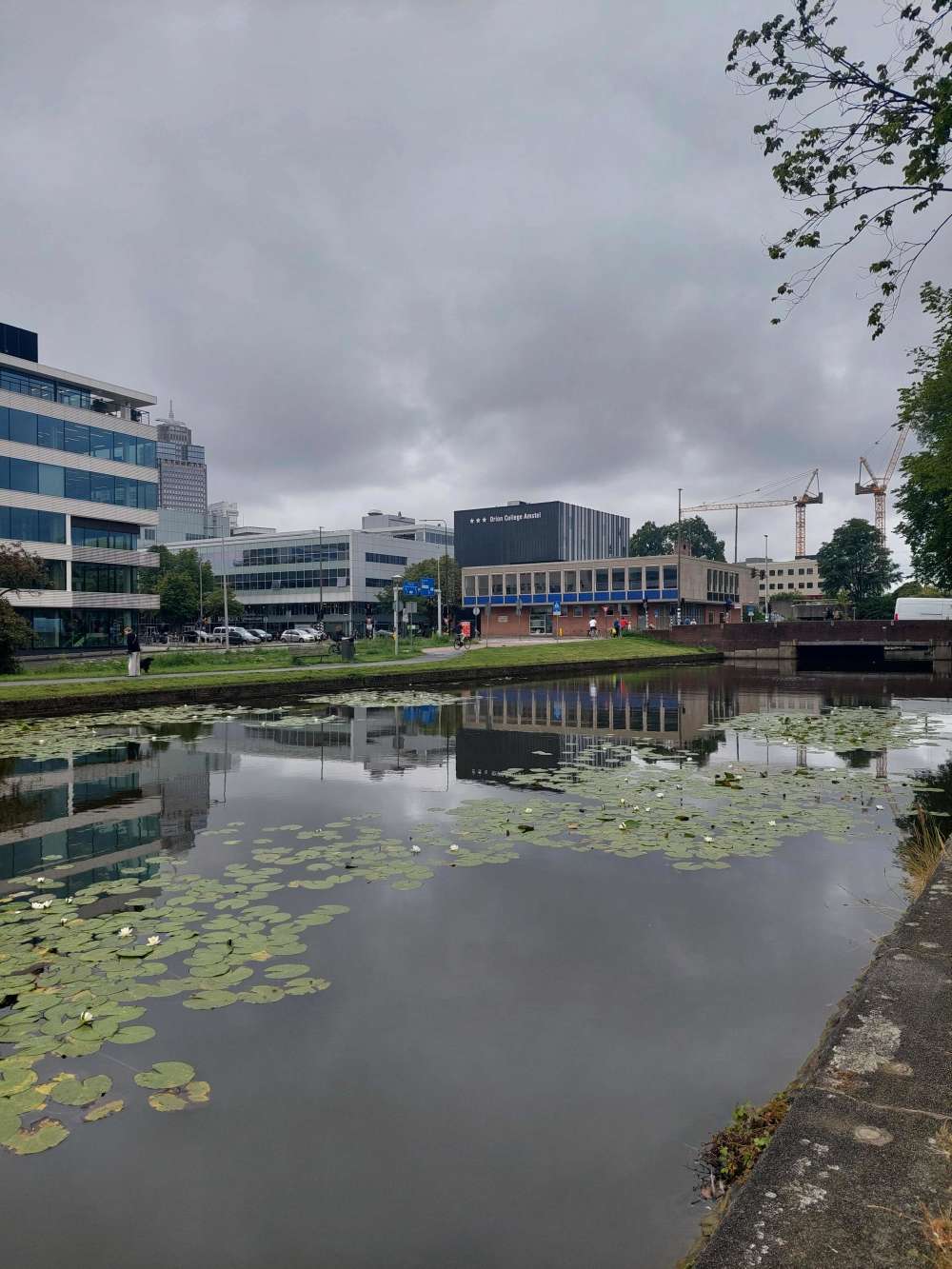 President Steynplantsoen 15