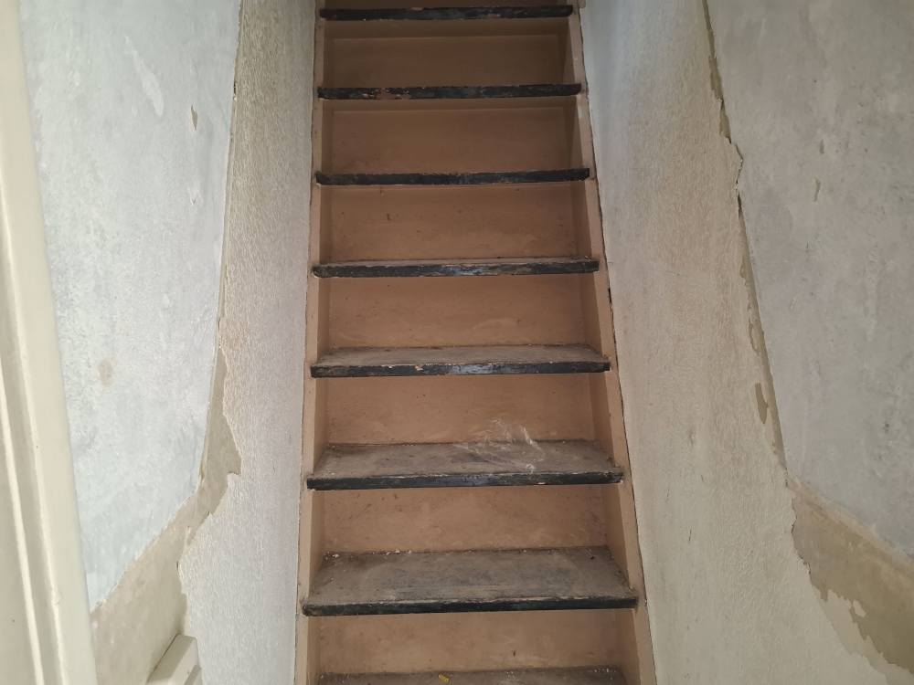 Albertus Magnushof 3