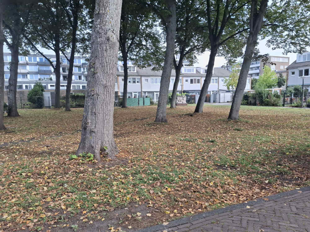 Albertus Magnushof 3