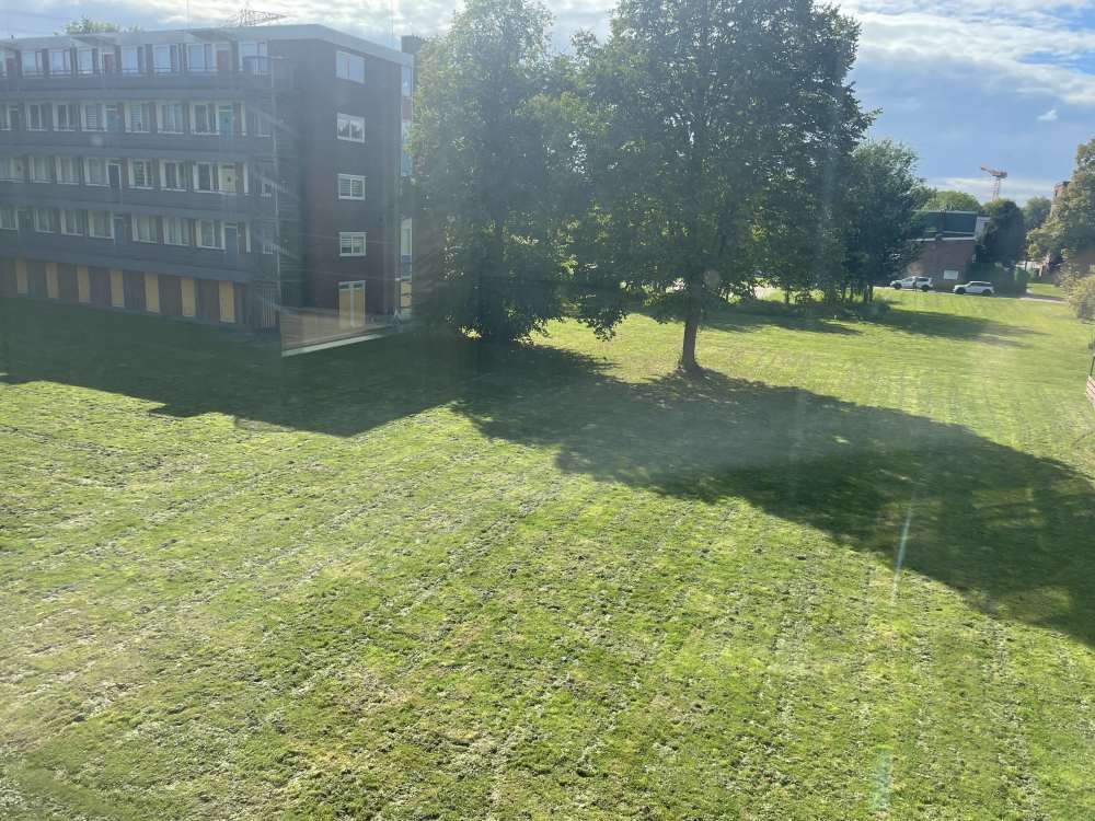 Koekoeksbloemweg 115