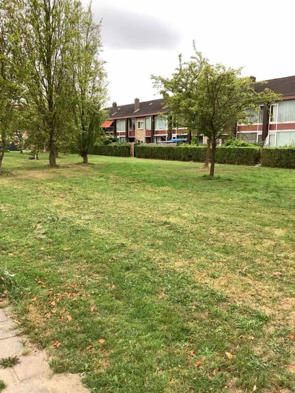 Zuiderkruisstraat 29