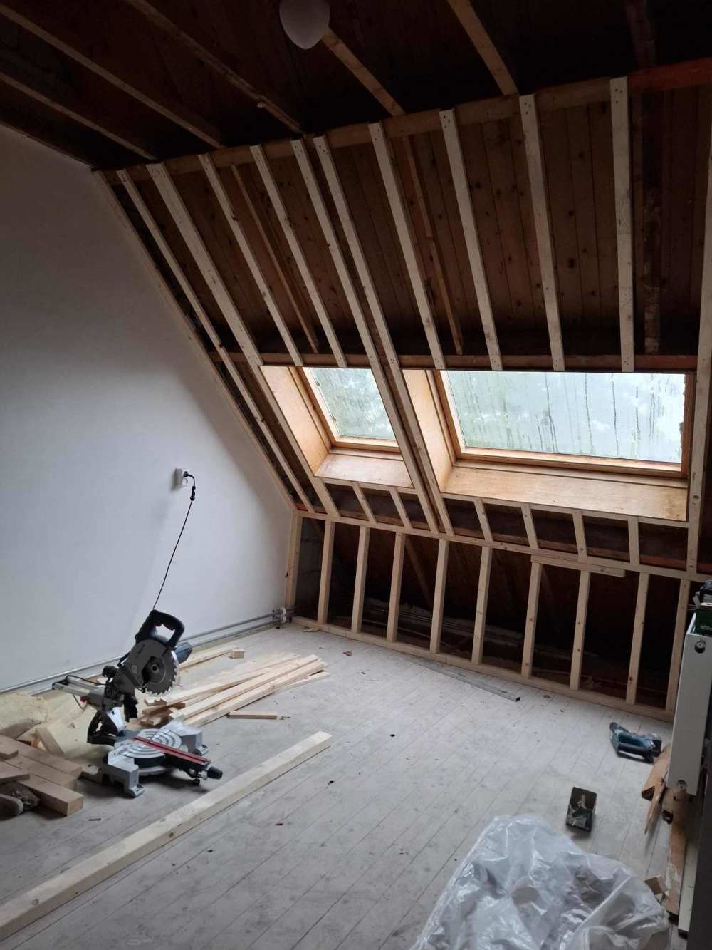 Hoornbladplantsoen 1