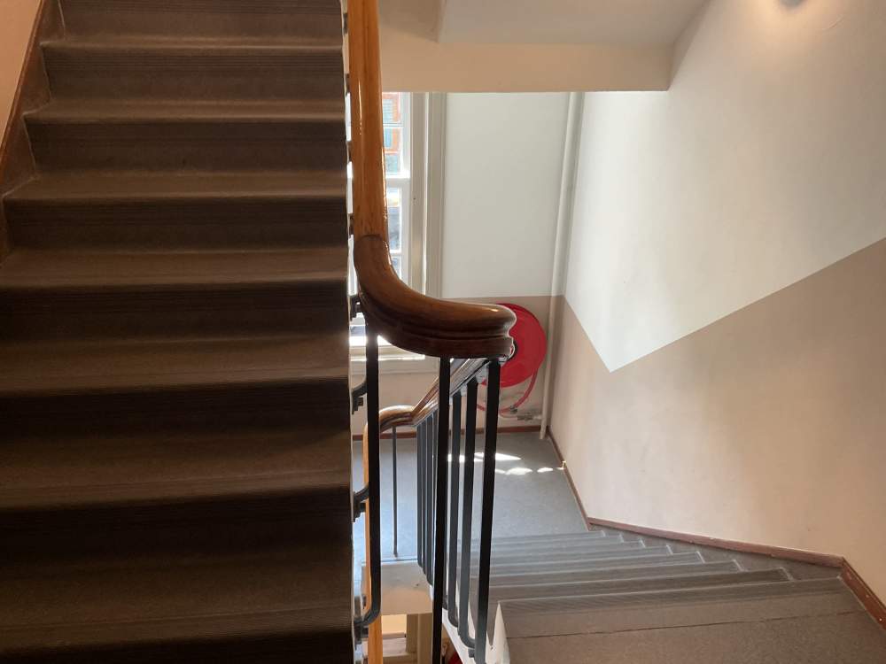 Zilverplevierstraat 113