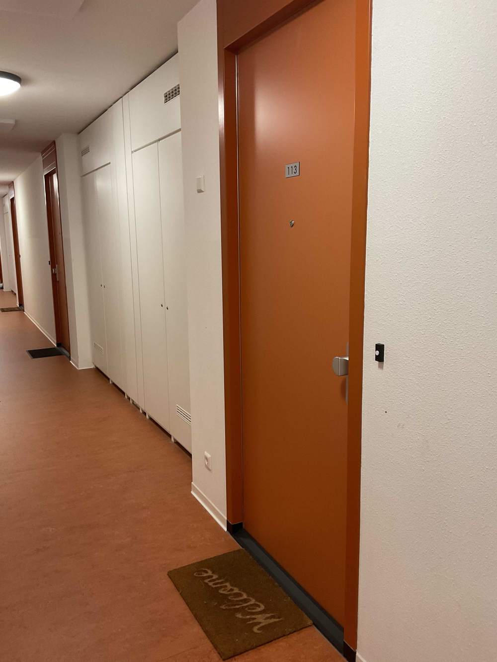 Zilverplevierstraat 113