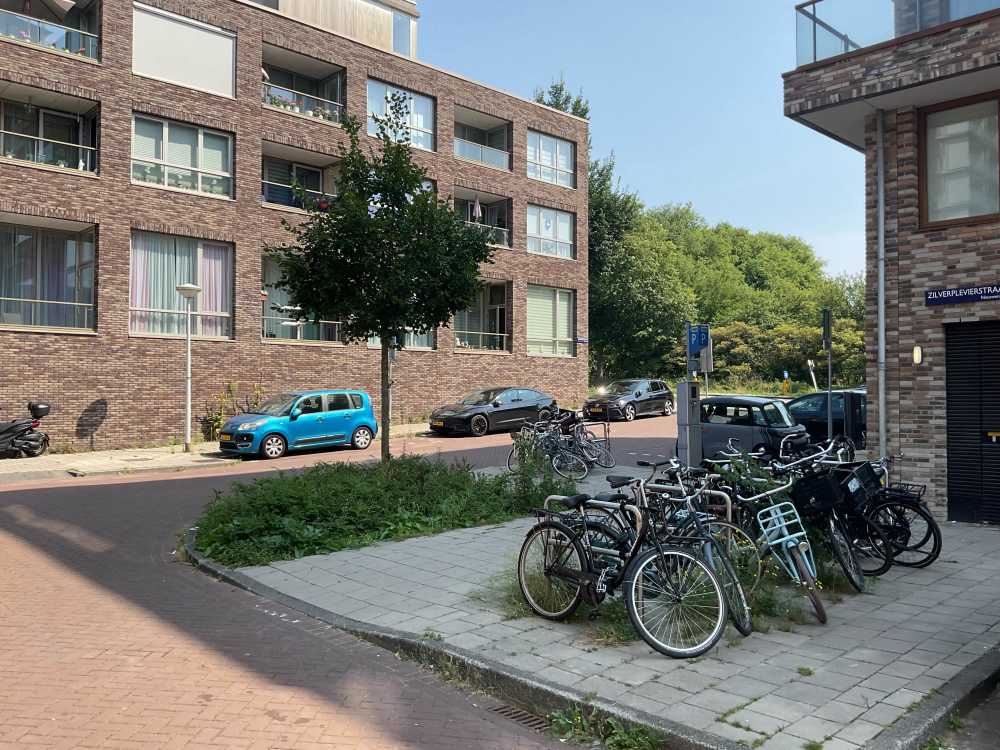 Zilverplevierstraat 113