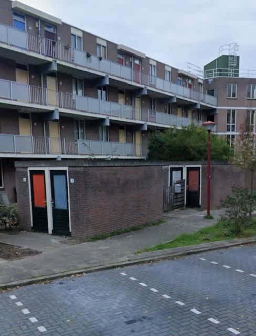 Schermwal 31