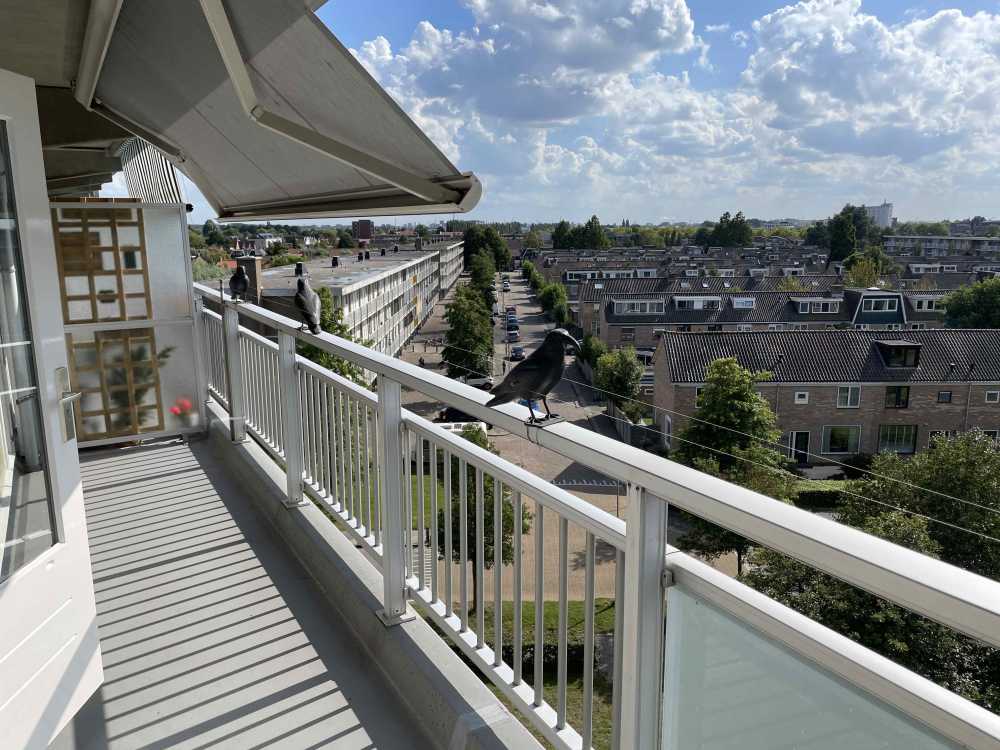 Koningsvarenstraat 142