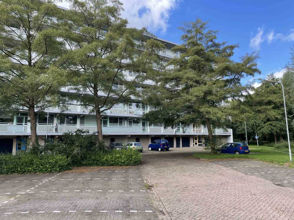 Koningsvarenstraat 324