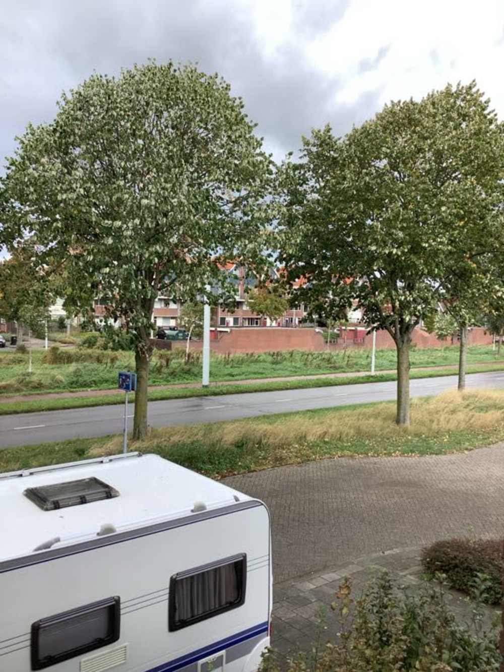 Sleutelbloemplein 11