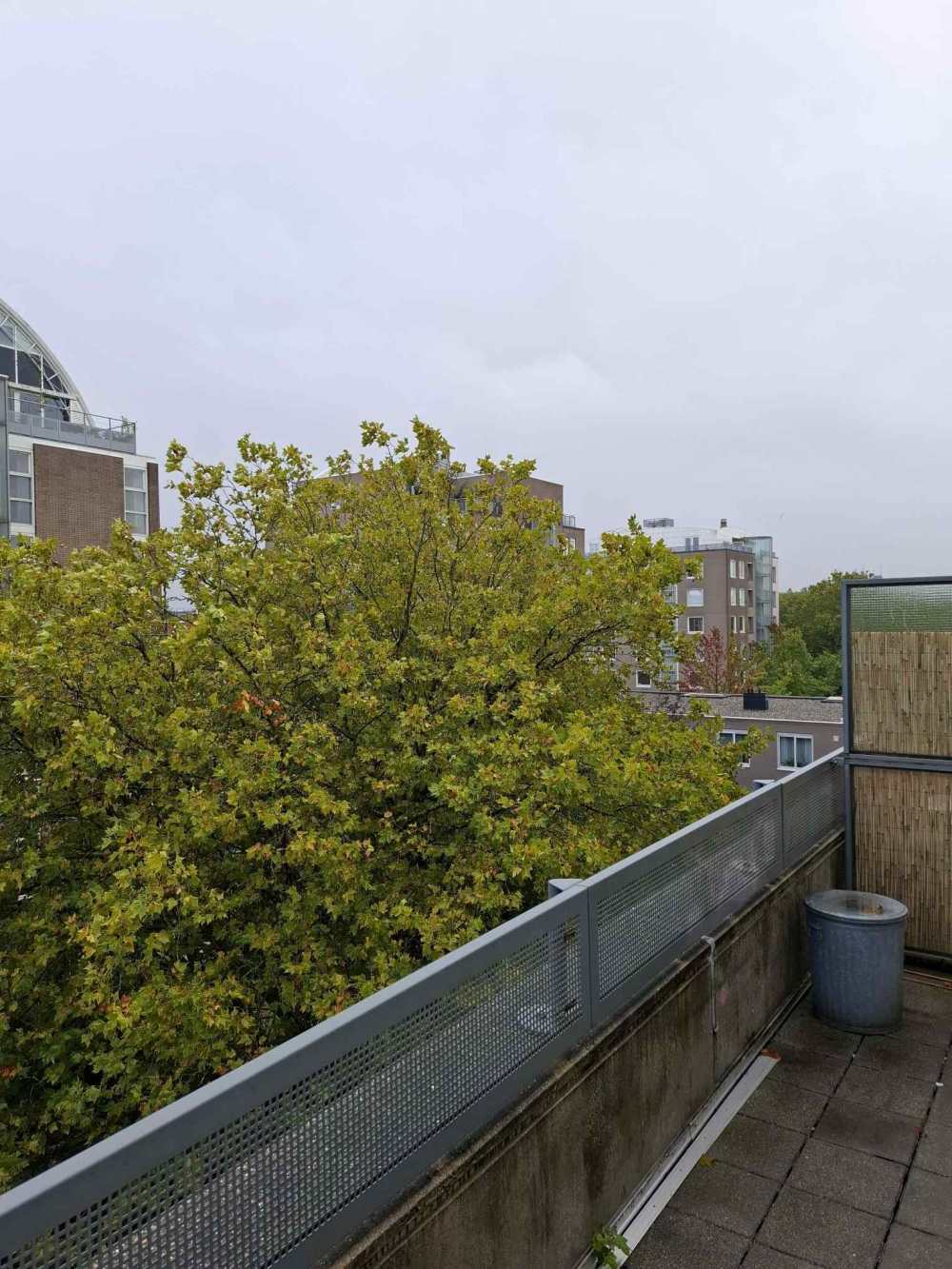 Louise Wentstraat 228