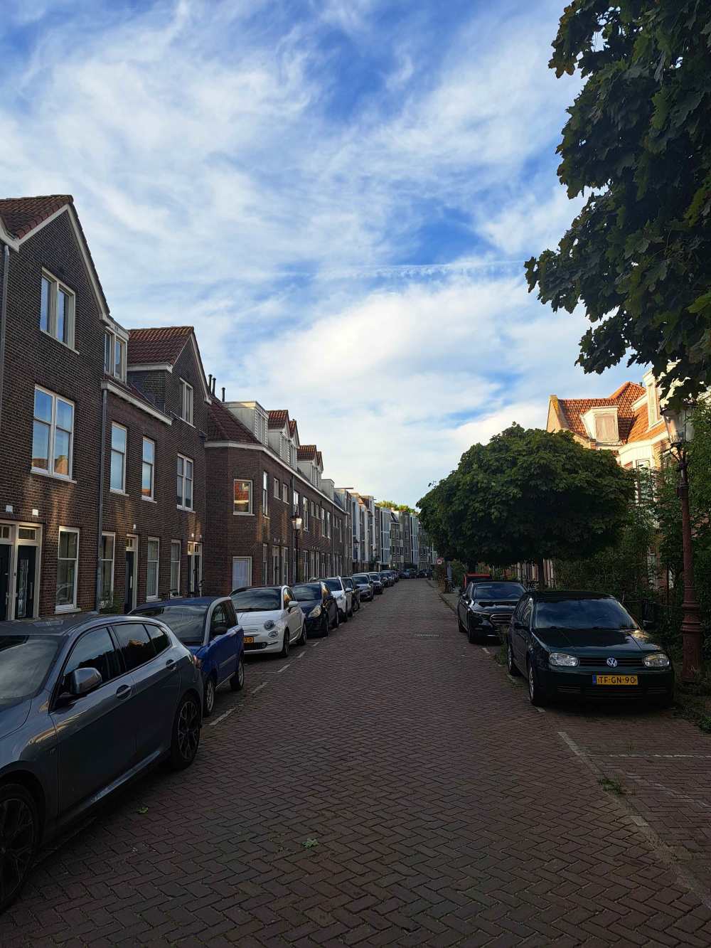 Leeuwerikstraat 29